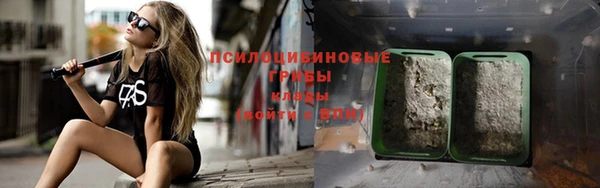 хмурый Алексеевка