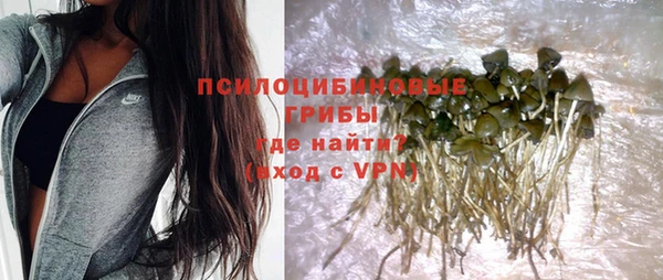хмурый Алексеевка