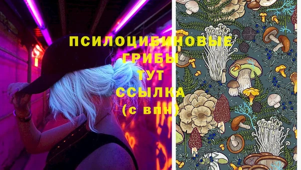 кристаллы Алексин