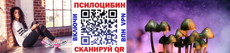 Псилоцибиновые грибы Psilocybe  где купить наркоту  Яровое 